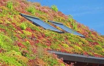 West Lothian living roof systems
