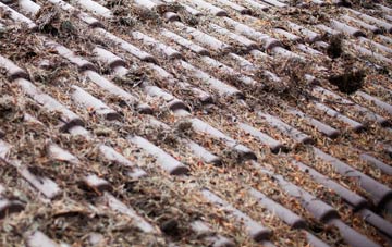 West Lothian roof cleaning companies