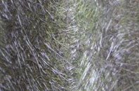 West Lothian fibreglass roof work